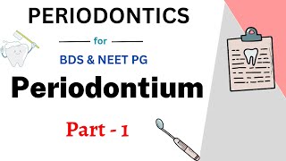 Periodontium Easy Dentistry  Lecture 1  Teethopedia [upl. by Luing]