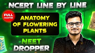 Anatomy of Flowering Plants FULL CHAPTER  NCERT Class 11th Botany  Chapter 5  Yakeen NEET [upl. by Veejar]