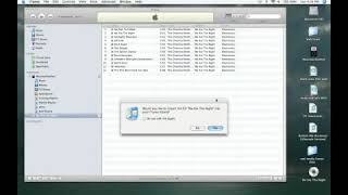 How to Add Songs From a CD to iTunes [upl. by Adeirf]