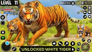 The Tiger Simulator Gameplay  5 Tigers vs 2 Hippopotamus [upl. by Alehtse]