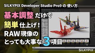 基本調整だけで簡単仕上げ！ ～RAW現像のとっても大事な基本調整3項目～【SILKYPIX Developer Studio Pro9の使い方】 [upl. by Swithbart]