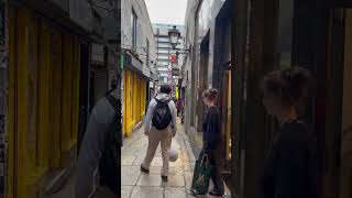 Temple bar Dublin Ireland 🇮🇪 ☘️ travel dublin templebar ireland [upl. by Namyh]