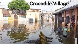 Visiting the Crocodile Village of India [upl. by Eicnarf254]