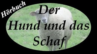 Aesop Der Hund und das Schaf  ElstersLesehöhle [upl. by Aihsemaj]