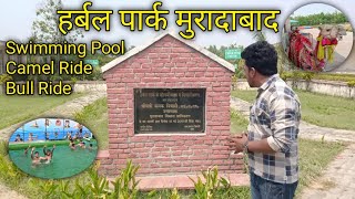 Eco Herbal Park Moradabad I इको हर्बल पार्क मुरादाबाद I हर रोज आते हैं लोग IMoradabad I G Gyan Vlog [upl. by Aned248]