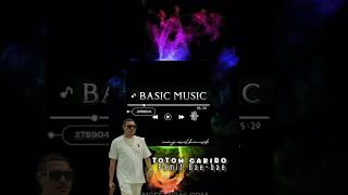 Toton Caribo Music Terbaru  Pamit Bae Bae Edt pop power 🎶 [upl. by Adnaerb]