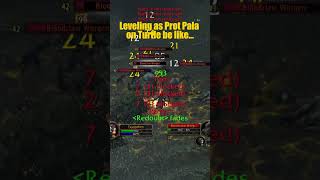 Leveling as Prot Pala be like worldofwacraft turtlewow [upl. by Nerraj]