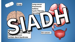 SIADH EXPLAINED Hyponatraemia [upl. by Nored]