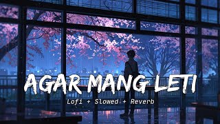 Agar Mang Leti  Slowed  Reverb  New Hindi Sad Lofi Song 2024  Emotional Chill Mix [upl. by Assitruc]