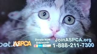 ASPCA TV Commercial quotCountless Daysquot 2018 [upl. by Vladamar]