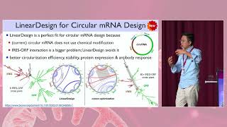 Liang Huangs invited talk 11th mRNA Health Conference Berlin 23 Optimized mRNA Design Nature [upl. by Encratia]