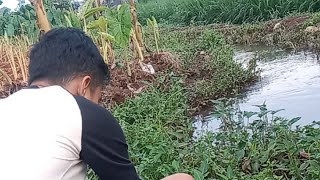 Mancing pagi  Cari lauk [upl. by Nitsugua]