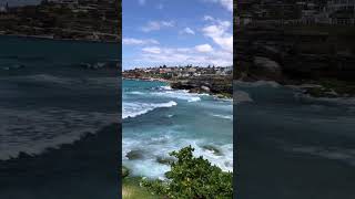 Bondi to Bronte walk [upl. by Karlyn]