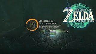 AVOIR LES JAMBIERES ZORA DANS ZELDA TEARS OF THE KINGDOM [upl. by Ingemar269]