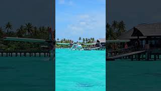 ArrivalS TERMINAL in maldives beach [upl. by Mays]