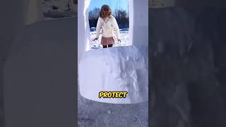 Girl Builds an Amazing Snow Palace for Survival shortsvideo [upl. by Astrix741]