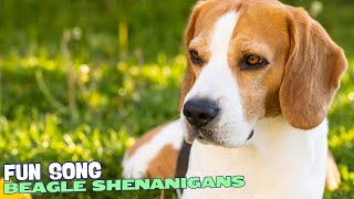 🎶🐶 Beagle Shenanigans  A Playful Song About Beagles 🎉 [upl. by Akeret]