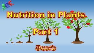 Nutrition in Plants Part 1 in Telugu CBSE syllabus Class 7 [upl. by Belldas]