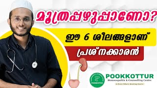 മൂത്രപ്പഴുപ്പ് വരുന്നത് ഇത് കൊണ്ടാണ് UTI is caused by these habits Dr Muhammed Shibili [upl. by Accemahs]