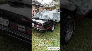 😂wifey Gets happy When I pull out my oldSchool 🏎️ tiktok car cartok funny viralvideo malibu [upl. by Richel843]