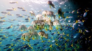 Tauchen auf den Malediven Webinar – Wo gibt es das beste Tauchen auf den Malediven und wie komme hin [upl. by Myrtia219]