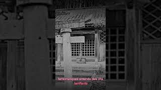 Le Village Hanté de Sugisawa  Massacre et Apparitions Fantomatiques mystère légendesurbaines [upl. by Alarick146]