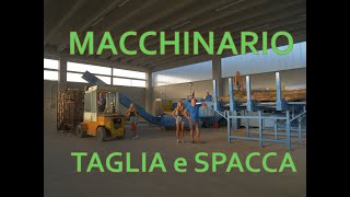 Il MACCHINARIO per tagliare e spaccare la LEGNA [upl. by Mildred]