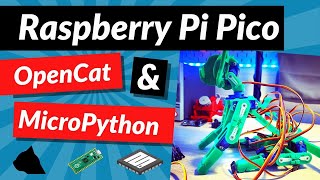 Raspberry Pi Pico OpenCat and MicroPython [upl. by Amahs]