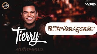 Tierry  Vai Ter Que Aguentar Ao Vivo2020 [upl. by Amaras493]