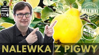 Nalewka z pigwy pigwówka Kultowy trunek domowego wyrobu Prosty przepis na doskonałą nalewkę [upl. by Norris]