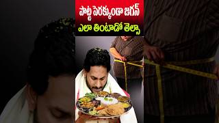 పొట్ట పెరగకుండా జగన్ తిండి ఎలా ఉంటాదో తెలుసా  Ys Jagans Diet Secret  Cine Megham [upl. by Aicatsana688]