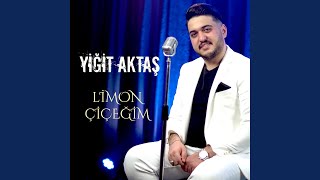 Limon Çiçeğim [upl. by Piers]