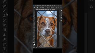 how to remove fence in photoshop photoshop shorts tutorial [upl. by Sheaff204]