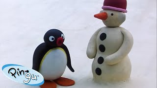 Ping Lost his Favorite Ball 🐧  Pingu  Official Channel  Cartoons For Kids [upl. by Martreb]