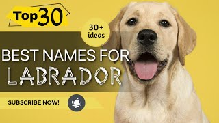 Top 30 Best Names For Labrador । Dog Names । Pets Vlogger [upl. by Anni849]