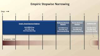 Final Topics Antibiotics Lecture 10 [upl. by Phelgon]