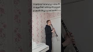 🎶 Etude for clarinet By Rose  Allegro  Clarinet Solo clarinet music музыка этюд музыка [upl. by Mareah]