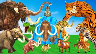 10 Mammoth Elephant Cow Bull vs 5 Giant Tiger Wolf vs Dinosaur Fight Tiger Cub Save by Woolly Mammot [upl. by Navada932]