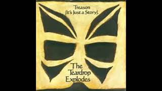 Teardrop Explodes  Treason 1981 HQ [upl. by Zingale]