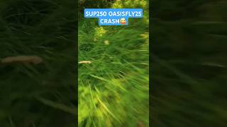 FPV Drone Crash Sub250 Oasisfly25 fpvfreestyle dronecrash Sub250official dronevideo dji fpv [upl. by Louie]