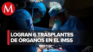 Seis personas reciben trasplante de órganos en unidad médica del IMSS en Nuevo León [upl. by Yadsnil867]