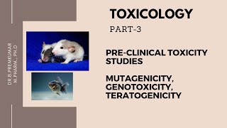 Toxicology Part3Mutagenicity Genotoxicity Teratogenicity [upl. by Stephan]