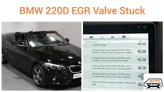 BMW 220D engine shaking amp power loss 255B00  255C00  272E00  240400 240500 amp clean EGR Valve [upl. by Xirdnek820]