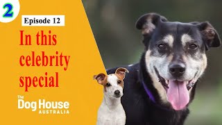 The Dog House Australia  Season 2 Episode 12 In this celebrity special [upl. by Orozco]