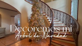 Decoremos MI ÁRBOL DE NAVIDAD🎄 [upl. by Nogas]