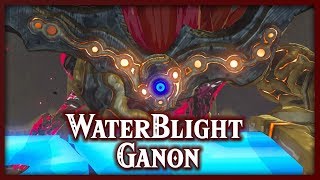 Champions Ballad WATERBLIGHT GANON Illusory Realm [upl. by Euphemiah]