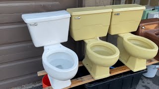 Flushing All My Toilet Collection [upl. by Herates]