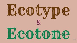 Ecotype amp Ecotone [upl. by Anirdua16]