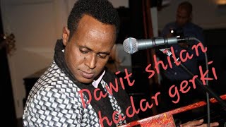 ERITREAN MUSIC DAWIT SHILAN HADAR GHERKI [upl. by Itsur]