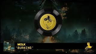 Molk  Burning Official Audio [upl. by Atnek]